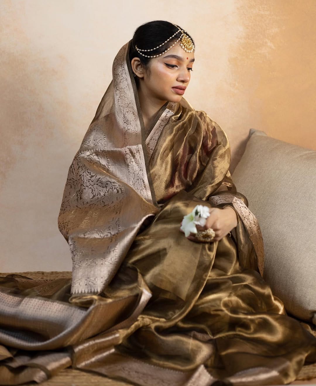 Antique Brown Shade Reshmi Tissue Silk Banarasi