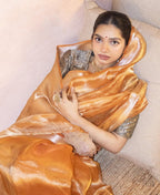 Metallic Shade Reshmi Tissue Silk Banarasi