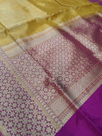 Gold Shade Handwoven Kataan Ektara Tissue Banarasi