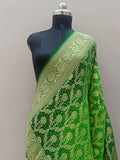 Green Shade Handwoven Khaddi Chiffon Rai Dana Bandhani Dupatta